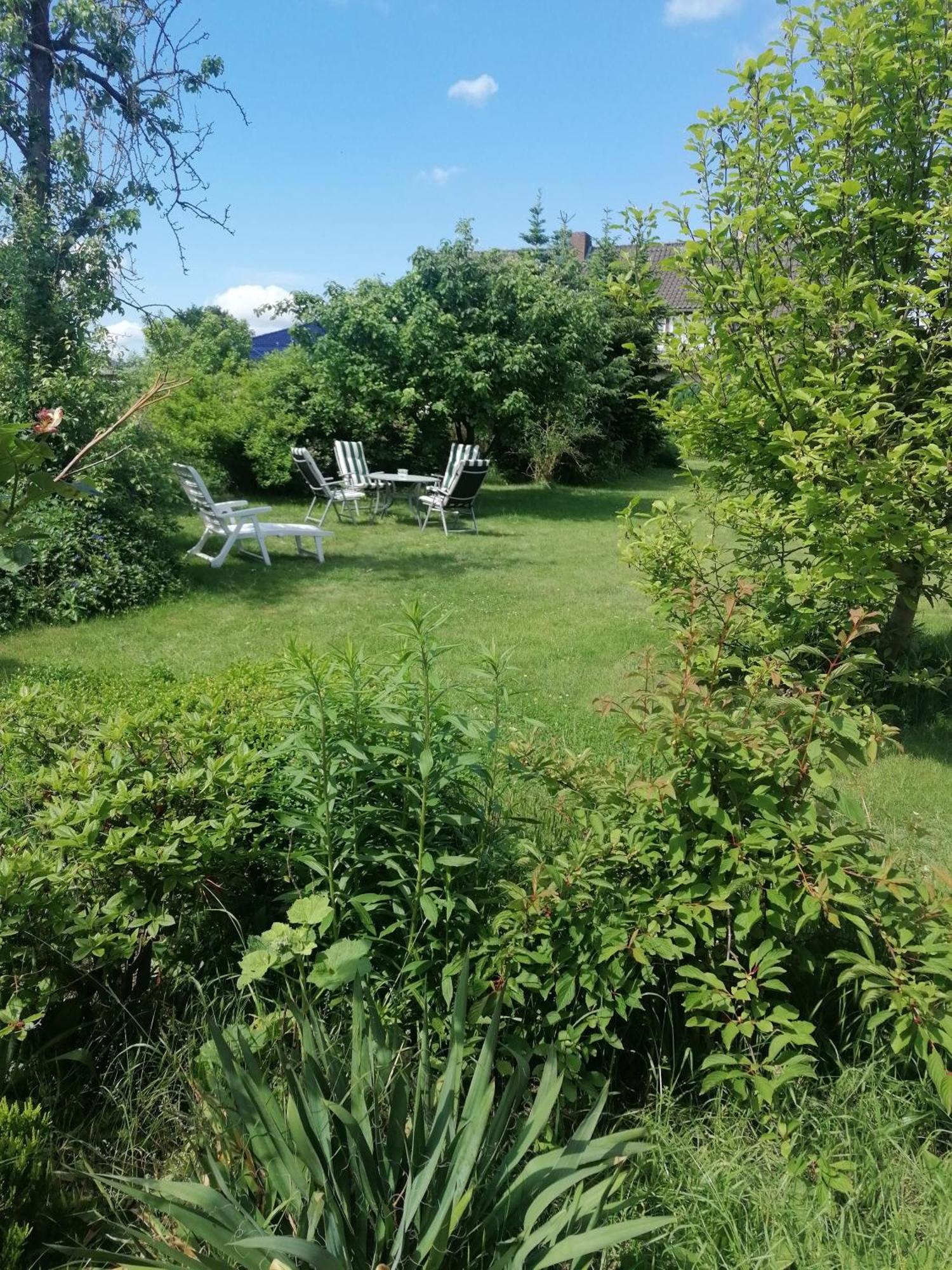 Loenshof In Der Lueneburger Heide Appartement